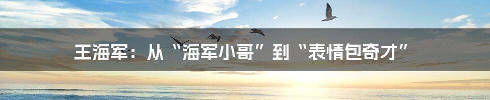 王海军:从“海军小哥”到“表情包奇才”
