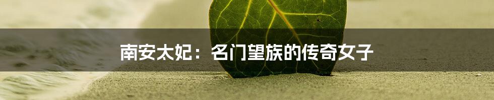 南安太妃:名门望族的传奇女子