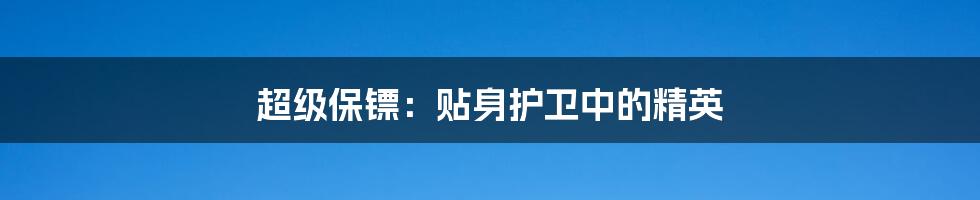 超级保镖:贴身护卫中的精英