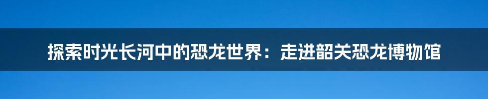 探索时光长河中的恐龙世界:走进韶关恐龙博物馆
