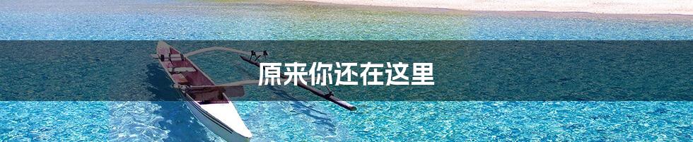 原来你还在这里