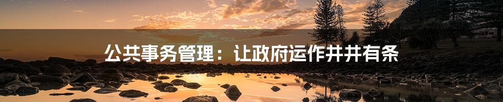公共事务管理:让政府运作井井有条