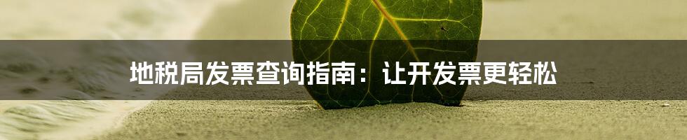 地税局发票查询指南：让开发票更轻松