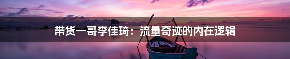 带货一哥李佳琦:流量奇迹的内在逻辑