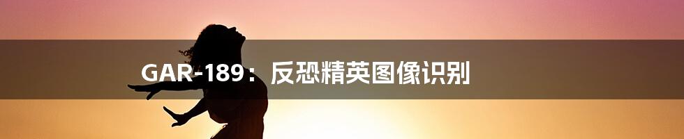 GAR-189:反恐精英图像识别