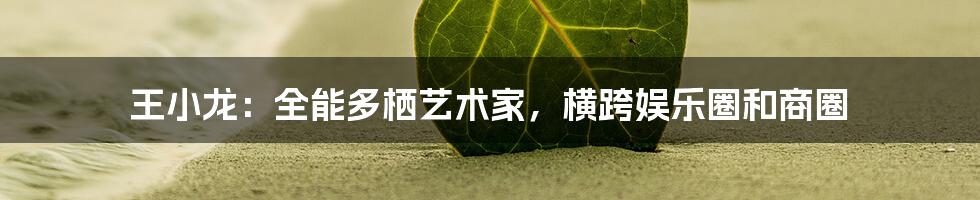 王小龙:全能多栖艺术家,横跨娱乐圈和商圈