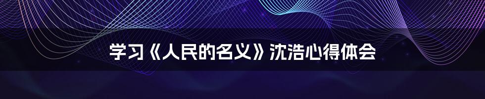 学习《人民的名义》沈浩心得体会