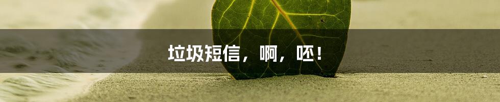 垃圾短信，啊，呸！