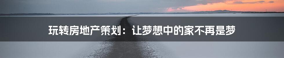 玩转房地产策划:让梦想中的家不再是梦