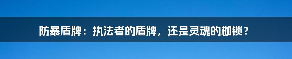 防暴盾牌:执法者的盾牌,还是灵魂的枷锁?