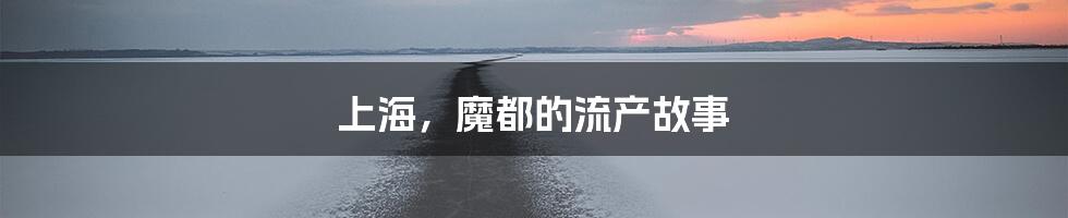上海,魔都的流产故事