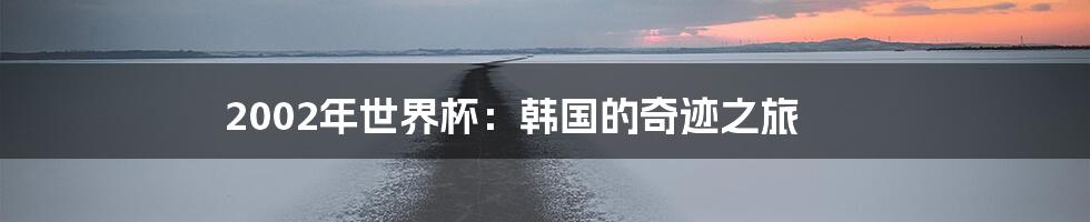 2002年世界杯：韩国的奇迹之旅
