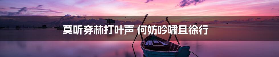 莫听穿林打叶声 何妨吟啸且徐行