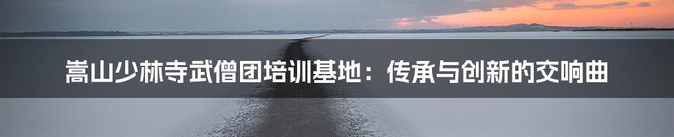 嵩山少林寺武僧团培训基地:传承与创新的交响曲