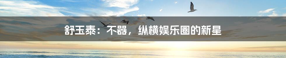 舒玉泰:不器,纵横娱乐圈的新星