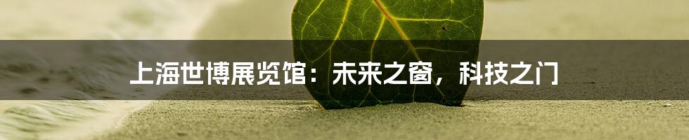 上海世博展览馆:未来之窗,科技之门