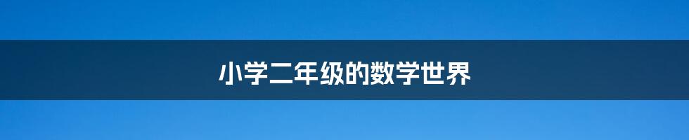 小学二年级的数学世界