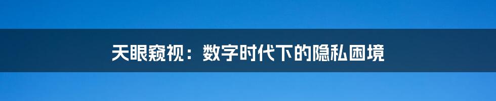 天眼窥视:数字时代下的隐私困境