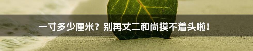 一寸多少厘米?别再丈二和尚摸不着头啦!