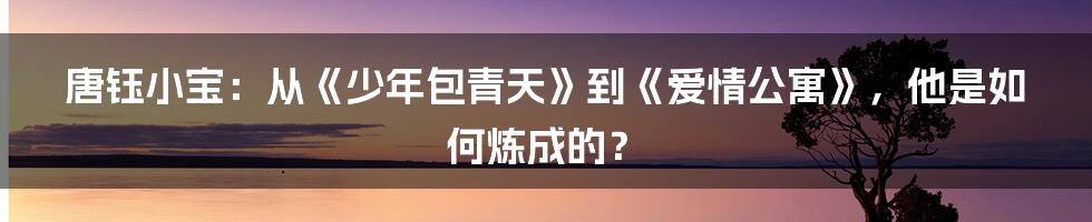 唐钰小宝:从《少年包青天》到《爱情公寓》,他是如何炼成的?