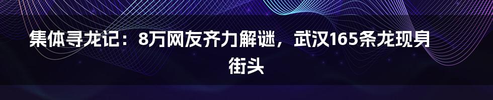 集体寻龙记:8万网友齐力解谜,武汉165条龙现身街头