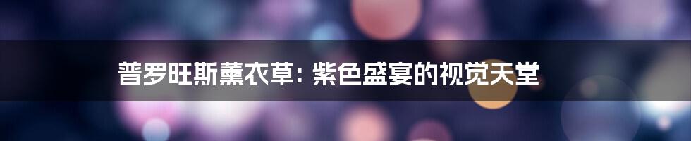 普罗旺斯薰衣草: 紫色盛宴的视觉天堂