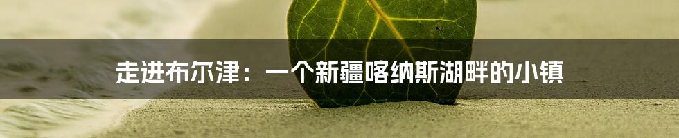 走进布尔津：一个新疆喀纳斯湖畔的小镇