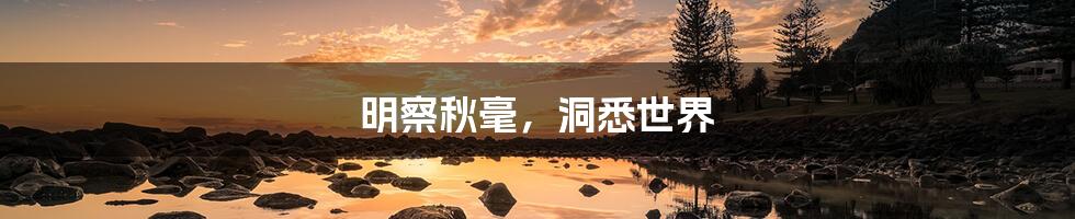 明察秋毫，洞悉世界