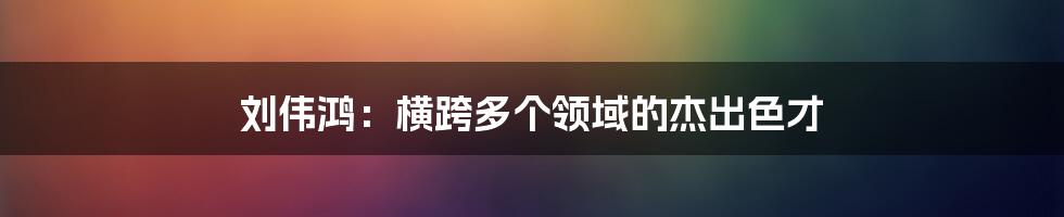 刘伟鸿:横跨多个领域的杰出色才