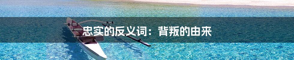 忠实的反义词：背叛的由来