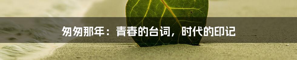 匆匆那年:青春的台词,时代的印记