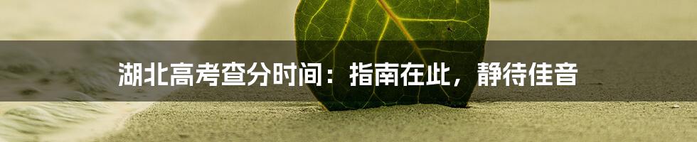 湖北高考查分时间:指南在此,静待佳音