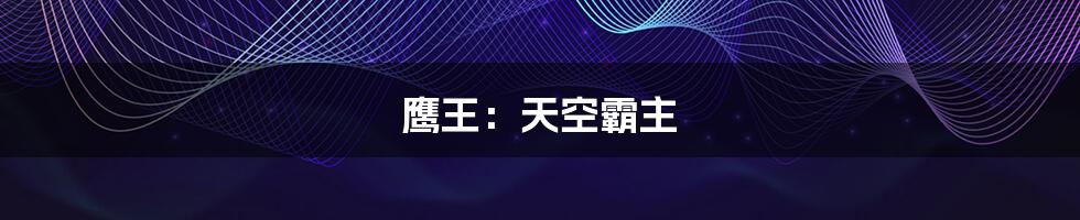 鹰王:天空霸主