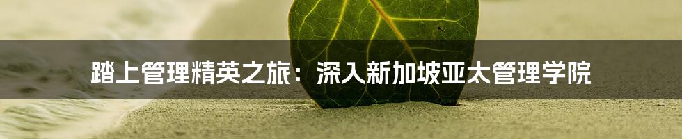 踏上管理精英之旅:深入新加坡亚太管理学院