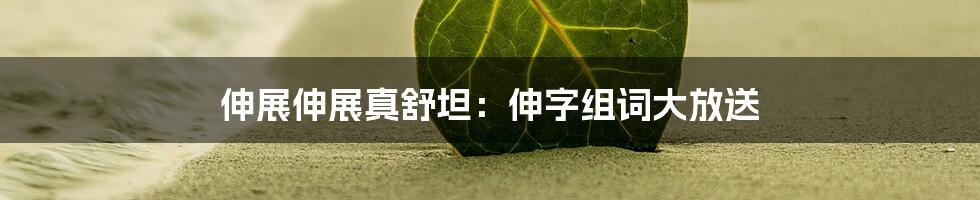 伸展伸展真舒坦：伸字组词大放送