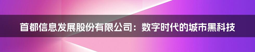 首都信息发展股份有限公司：数字时代的城市黑科技