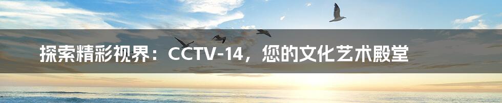探索精彩视界:CCTV-14,您的文化艺术殿堂
