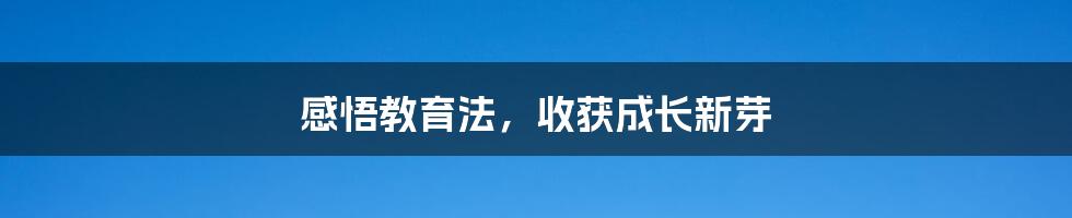 感悟教育法,收获成长新芽