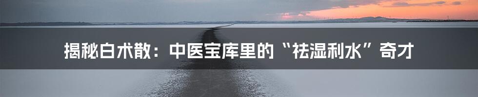 揭秘白术散:中医宝库里的“祛湿利水”奇才