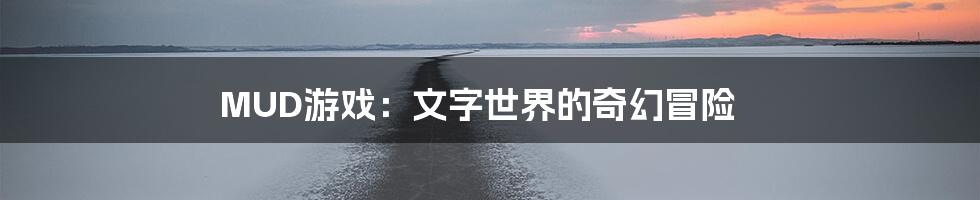 MUD游戏:文字世界的奇幻冒险