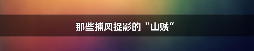 那些捕风捉影的“山贼”