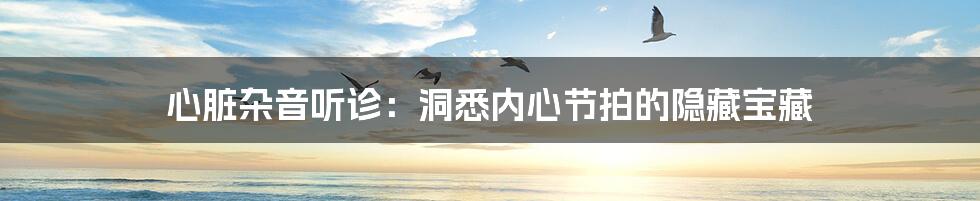 心脏杂音听诊:洞悉内心节拍的隐藏宝藏