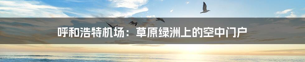 呼和浩特机场：草原绿洲上的空中门户