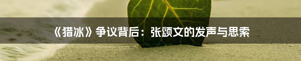《猎冰》争议背后:张颂文的发声与思索