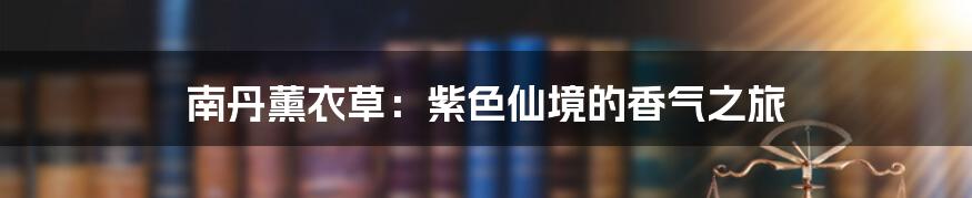 南丹薰衣草:紫色仙境的香气之旅