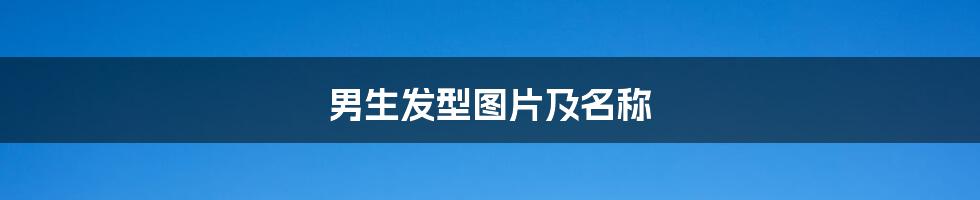 男生发型图片及名称