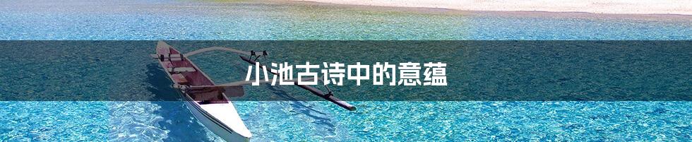 小池古诗中的意蕴