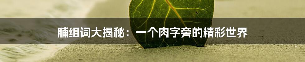 脯组词大揭秘:一个肉字旁的精彩世界