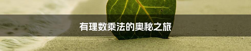 有理数乘法的奥秘之旅