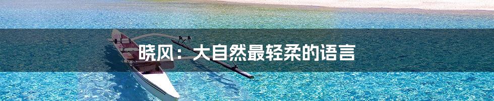 晓风:大自然最轻柔的语言